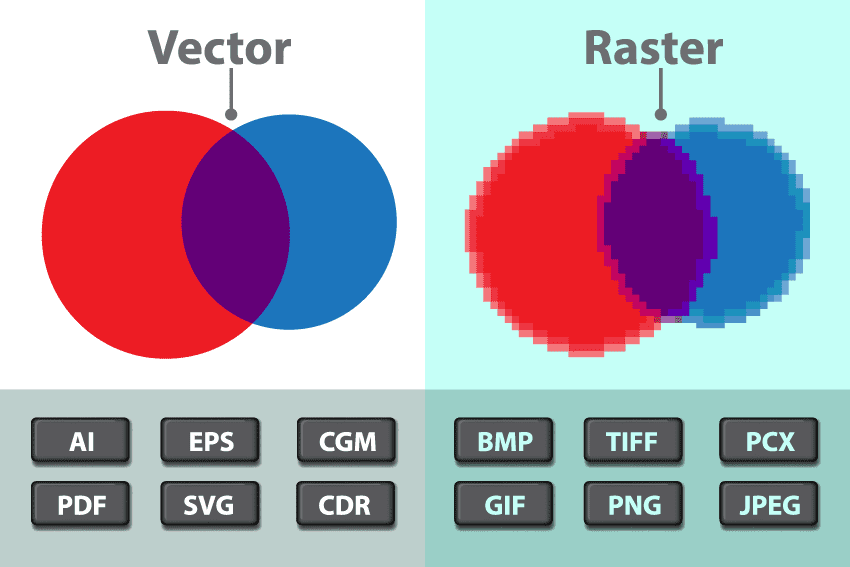 Raster vs. Vector Images