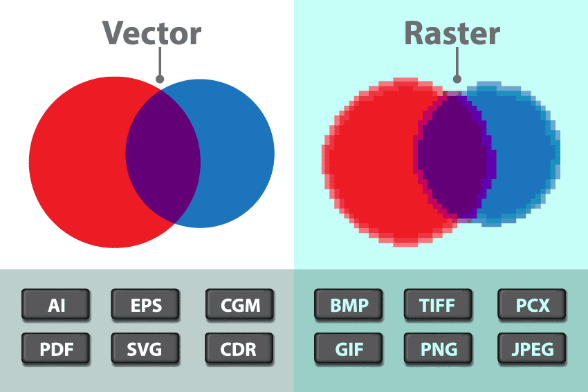 Digital Imaging SP20 Raster vs. Vector Graphics Explained